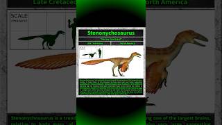 Stenonychosaurus [upl. by Ahsaekal]