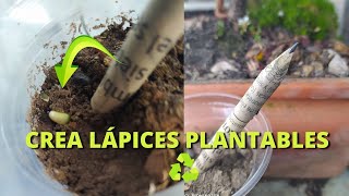 quotCrea Lápices Plantables con Papel de Periódico DIY Reciclajequot [upl. by Nowyt26]