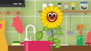 Photosynthesis for kids  how photosynthesis process happens [upl. by Aelem]