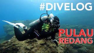 DIVELOG Pulau Redang  Coral Redang Island Resort  Scuba Diving trip 2022 [upl. by Coryden]