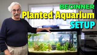 Unleash Your Creativity How To Create A Stunning Natural Planted Aquarium [upl. by Aisemaj]