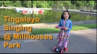 Tingalayo Come Little Donkey Come  Nursery Rhyme at Millhouses Park Sheffield Things to do [upl. by Remmer]