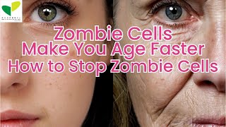 Subtitle Zombie Cells Make You Age Faster How to Stop Zombie Cells [upl. by Anahsor]