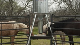 Automatic Horse Feeders  Feed Smart  Nordheim Farm La Grange Tx First Feeding [upl. by Levana]