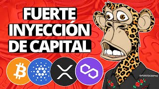 ✅SE ACABÓ LA ESPERA😱Noticias Criptomonedas HOY Bitcoin Ethereum Cardano Polygon XRP Toncoin [upl. by Bedelia]