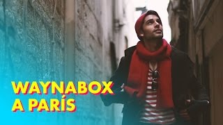 VIAJE A PARÍS con WAYNABOX [upl. by Silden]