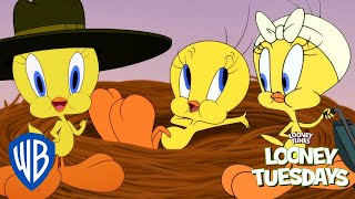 Looney Tuesdays  Best of Tweety from Looney Tunes Cartoons  Looney Tunes  WB Kids [upl. by Butta]