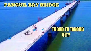 Panguil Bay Bridge New Update  Three Stay Cable Installed [upl. by Macdermot101]