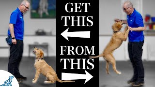 Teach Your Dog To Stop Jumping Up In 4 Simple Steps [upl. by Ayyn]