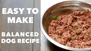 Homemade Dog Food Recipe [upl. by Everard]