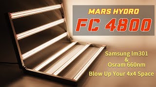 Mars Hydro New FC 4800 Led Grow Light Released 2020 Hydroponic Commercial Grow 480W 4ft×4ft [upl. by Cristiano]