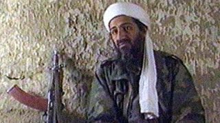 Tere bin laden dead or alive full movie [upl. by Weaks293]