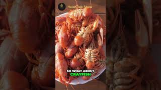 Is Crayfish Halal crayfish halal food facts [upl. by Ajile]