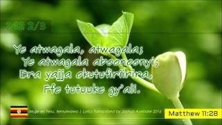 HYMN 242 Mujje eri Yesu temurwawo  Luganda Church Of Uganda Gospel Music Lyrics [upl. by Darwen]