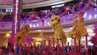 LION DANCE PERFORMANCE 2022 AT IMAGO SHOPPING MALL KOTA KINABALU SABAH [upl. by Leunamnauj]