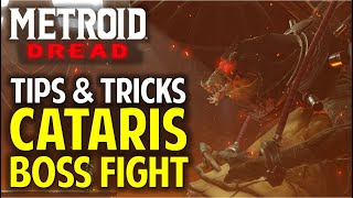 Cataris Boss Fight Guide  How to Defeat Kraid Tips amp Tricks  Metroid Dread Walkthrough [upl. by Charley647]