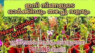 The best potting method for orchids to growSK orchids [upl. by Quinta243]