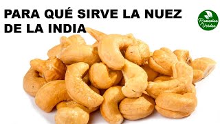 Para Que Sirve La Nuez De la India [upl. by Lavotsirc]