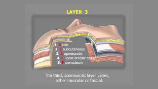 Understanding Facelift Anatomy  Dr Bryan Mendelson [upl. by Gurney]