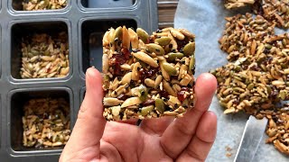 Easy Florentines No Butter No Flour 杏仁瓜子脆饼  TheSugarCrumble [upl. by Annairam643]