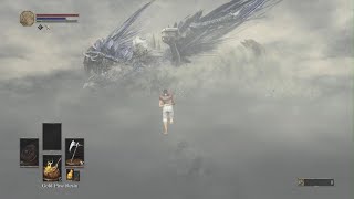 Nameless King SL1 no hit [upl. by Aknayirp]