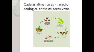 Cadeias alimentares produtor consumidor primário secundário terciário e decompositores 6° Ano [upl. by Phillipp]