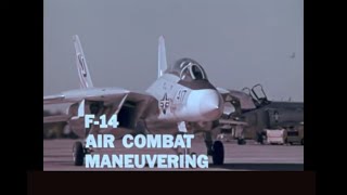 F14 Tomcat  Air Combat Maneuvering [upl. by Samau]