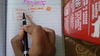 LIPOPROTEINS METABOLISM part 1general introduction [upl. by Billat25]