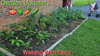 Garden Update 🍅🫑 Lets Take A Walk With Kitty 🐈‍⬛🤩 Everything is starting to grow 🥕🥒 [upl. by Adnalra]