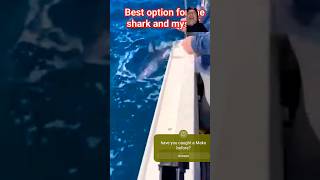 Releasing a big Mako Shark fishing shark ocean nature trolling [upl. by Nylg]