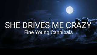 Fine Young Cannibals  She Drives Me Crazy Lyrics [upl. by Torre]