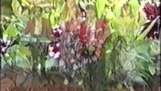 Sadik Uka TELEFONI CINGERROI official Video 1994 [upl. by Nylarad51]