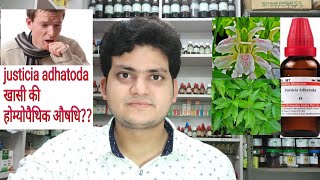 Justicia adhatoda Homeopathic medicine justicia adhatoda for cough खासी की होम्योपैथिक दवा [upl. by Gnuoy725]