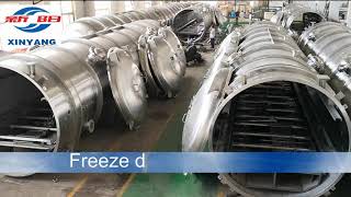 Lyophilizer freeze dryer manufacturer of China Xinyang Aero Space [upl. by Norby]