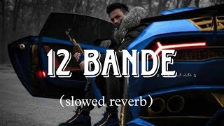 12 Bande slowed reverb varinder Brar new song [upl. by Syla]