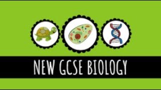 Anaerobic Respiration  What is Anaerobic Respiration  91 GCSE Biology [upl. by Aleel758]