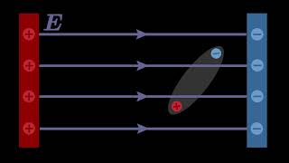 Two electric dipoles of dipole moments 12 × 1030 cm and 24 × 1030 cm are placed in two difference [upl. by Nwonknu595]