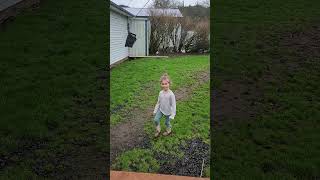 Ebony and Z pup playing with four year old Sofia at Chinook Valley farm [upl. by Gilly896]