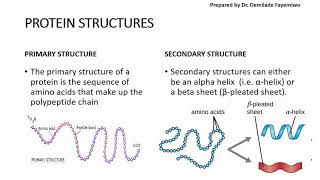 A Level Biology Revision quotPrimary Structure and Secondary Structure of Proteinsquot [upl. by Popper]