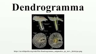 Dendrogramma [upl. by Aicnetroh]