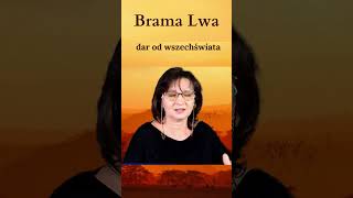 Brama Lwa  dar od wszechświata inspiracja tarot [upl. by Aiahc]