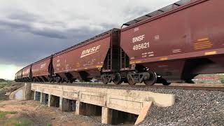 BNSF grain train with four pusher locomotives near Louviers Colorado 5 2020 [upl. by Ihcur]