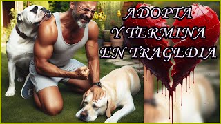 🐶💔Adopta a un perro termina en tragedia😭 [upl. by Llennyl]