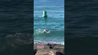 Swimmer Eaten by Shark hi hawaii oahulife shark eateneating ocean hectic [upl. by Haneeja462]