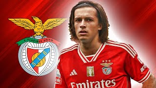 ALVARO FERNANDEZ  Welcome To Benfica 2024 🔴⚪ Magic Skills Goals Tackles amp Passes HD [upl. by Thorwald525]