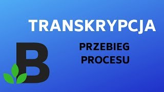 TRANSKRYPCJA przebieg transkrypcji  genetyka  KOREPETYCJE z BIOLOGII  213 [upl. by Yetac633]