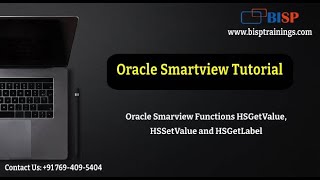 Oracle Smarview Functions HSGetValue HSSetValue and HSGetLabel  Oracle Smartview Tutorial  BISP [upl. by Kolva]