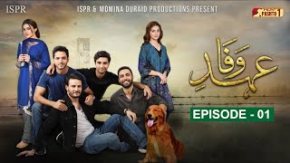 Ehd e Wafa Episode 01  Pashto Drama Serial  HUM Pashto 1 [upl. by Oiluj]