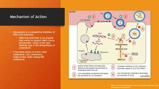 Simvastatin  Zocor [upl. by Etem]