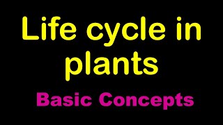 Reproduction in flowering plants  Basic life cycle pattern  Class 12 Chapter 2 Video 2 [upl. by Sokairyk]